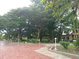 Halaman Rumah Bina